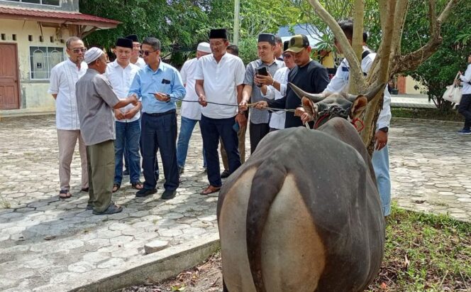 
 Idul Adha 1446 H/2025 Dinas PUPR Karimun Sembelih 5 Ekor Hewan Kurban