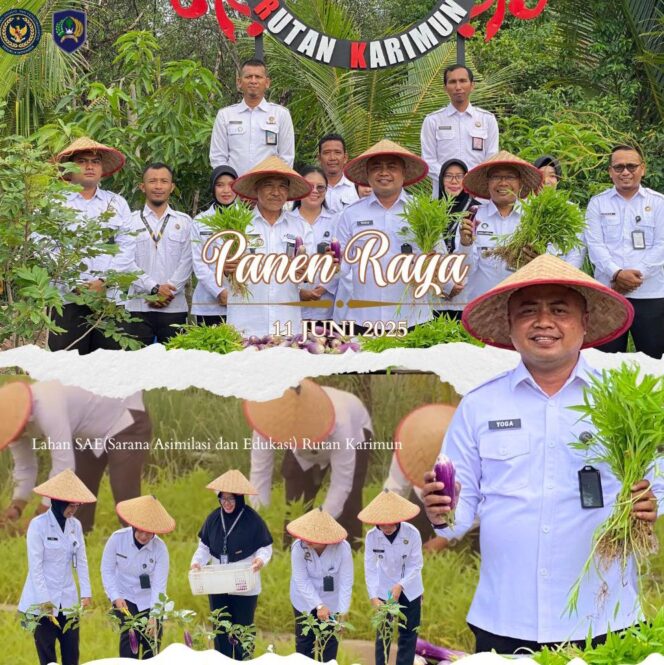 
 Rutan Karimun Panen  Kangkung dan Terong di Lahan Sarana Asimilasi dan Edukasi (SAE)