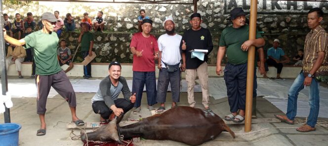 
 Sembelih 8 Ekor Hewan Kurban, PHBI Masjid Al Ikhlas Kp Baru Tebing Bagikan 420 Kupon