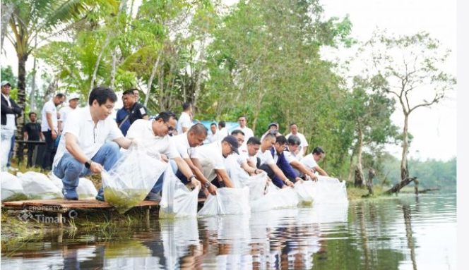 
 PT TIMAH  Tbk Tebar Belasan Ribu Bibit Ikan di Kolong Bekas Tambang, Optimalisasi Pemanfaatan Kolong dan Ekonomi Masyarakat