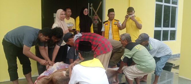 
 ‎Idul Ahda 1447 Hijriah, DPD Partai Golkar Karimun Sembelih 1 Ekor Sapi